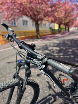 Specialized Rockhopper 29 - 2
