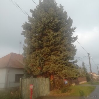 Darujeme na vianocnu vyzdobu - 2