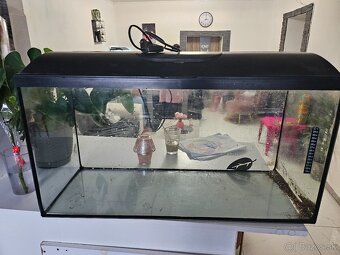 Akvarium - 2