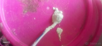 Predam - 2