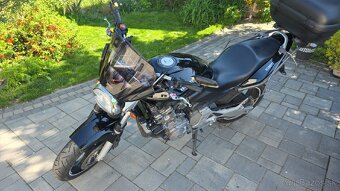 Honda CB600F Hornet - 2