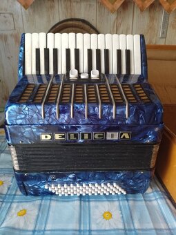 Harmonika Delicia - 2