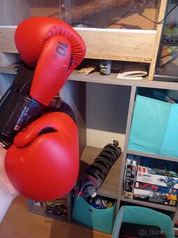 Boxovaci mech - 2