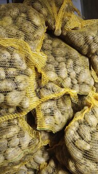 Nové zemiaky 15kg 8eur - 2
