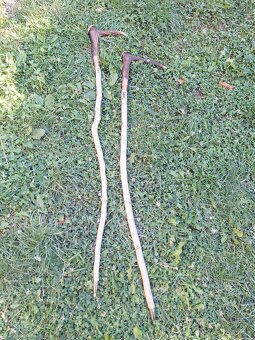 Vychádzková palica z parohu - 2