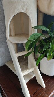 Skrabadlo pre mačku - 2