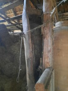 Staré drevené koryto - 2