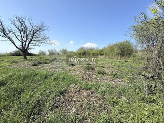 HALO reality - Predaj, záhradný pozemok 860 m2 Rybník - 2