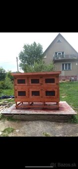 Kralikarne - 2