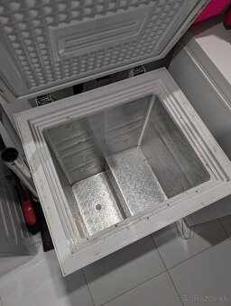 Mrazák Guzzanti - 2