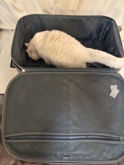 Cestovný kufor ECHOLAC BIG - 2