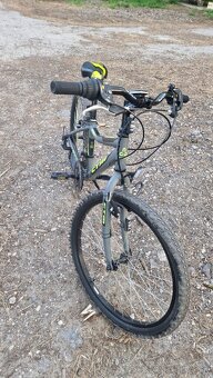 CTM 24" BERRY 1.0 HORSKY JUNIORSKY BICYKEL - 2