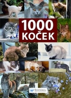 Mačky, psy, zvieratá, chov - 2