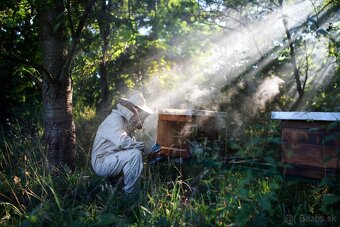 Med (10e), Vcely a Medovina (8e) - 2