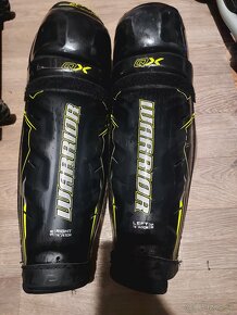 Hokejove holene - 2