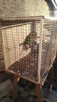 Klietka pre papagája, fretku...., kuriatka....50eur - 2