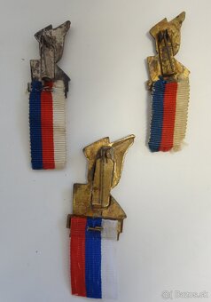 Sokolske odznaky - 2