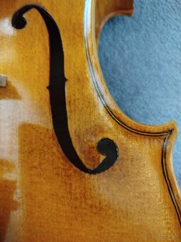 Viola - 2