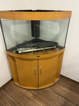 Rohové akvárium - 2