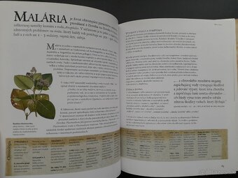 Choroby, postrach ľudstva - 2