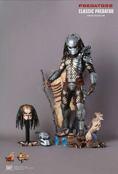 Predam Hot toys Predator Jungle Hunter 1/6 - 2
