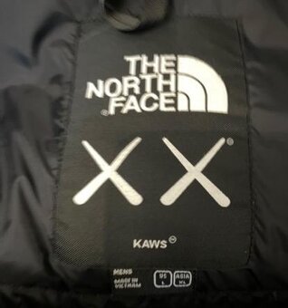 The north face x kaws bunda - 2