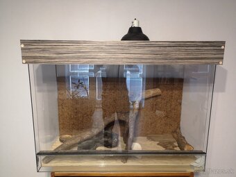 Terarium 100cmx75cmx45cm - 2