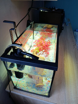 akvárium - kompet aj s rybičkami - 2