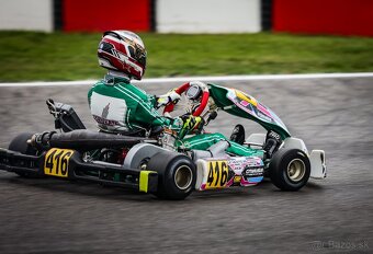 Tony Kart motokara 401 RR s motorem Vortex Rok GP - 2