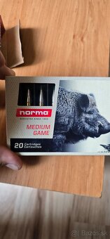 Naboje 308win - 2