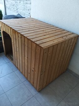 Búda pre psa - 2
