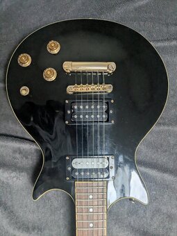 Vintage gitara - 2