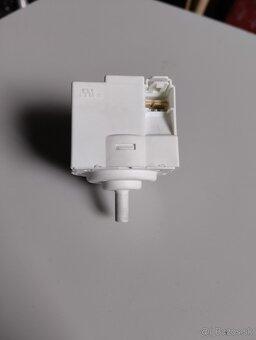Spinac hladinovy - 2