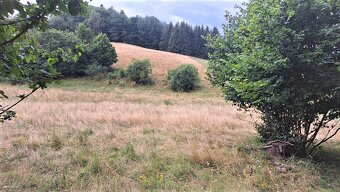Pozemok - Horný Pajer, okres Žarnovica, 1784 m2 - 2