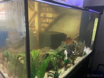 Akvarium 150x90x70cm 900l - 2