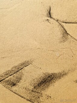 Gustav Klimt - (vysokokvalitná tlač) z roku 1980 (8) - 2