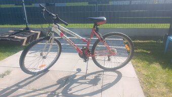 Dámsky bicykel - 2