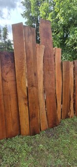 Čerešnove drevo - 2