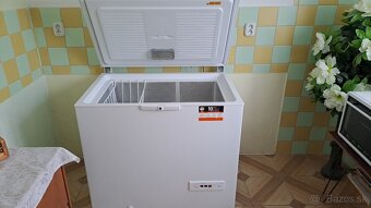 truhlicovy mraziak - 2