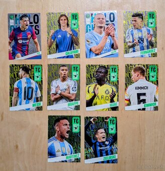 Futbalové kartičky Panini - 2