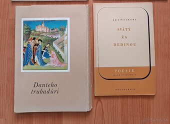 Poézia v slovenčine - 2