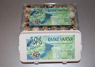 Nasadove vajcia prepelice - 2