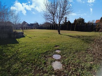Veľký pozemok pre RD (Sereď) - 2