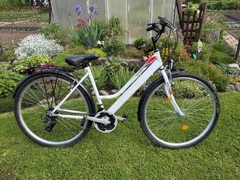 Bicykel Maxwell - 2