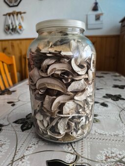 Predám sušené hríby - 2