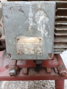 Kladivkovy srotovnik - 2