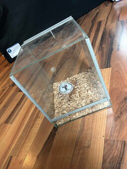 Predam terarium - 2