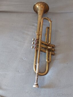Trubka amati kraslice - 2