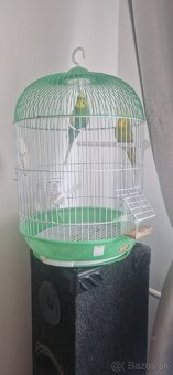 Andulky - 2