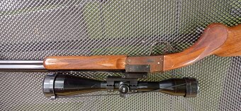 Predám Gulabrokovú Kozlicu 410 / 22 Hornet - 2